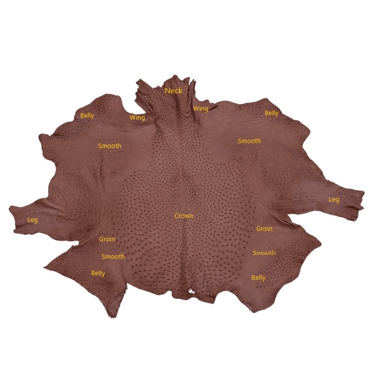Ostrich skin grade