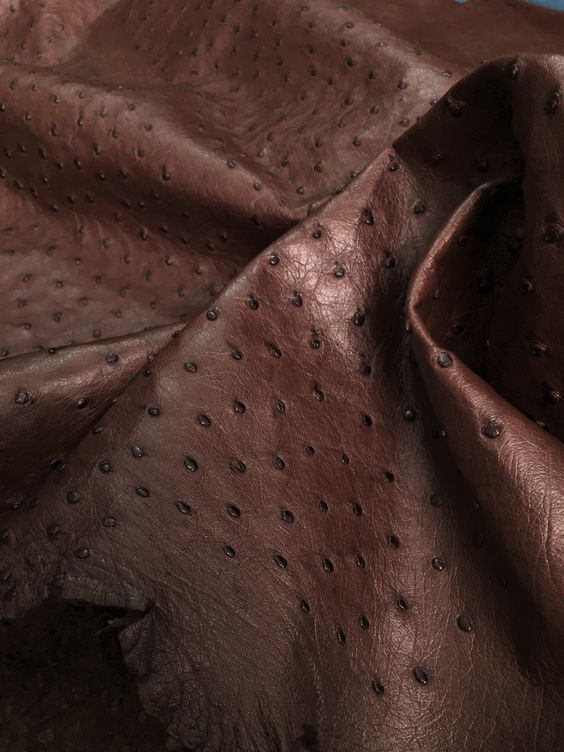 ostrich skin