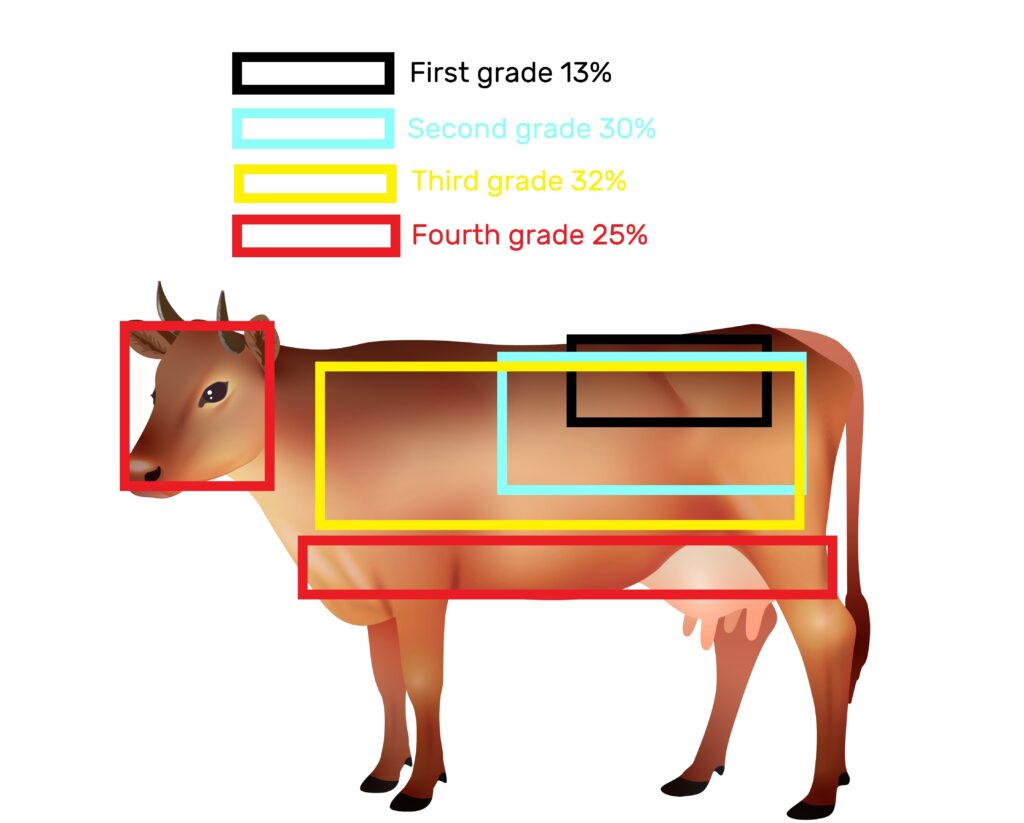 Different types of leather